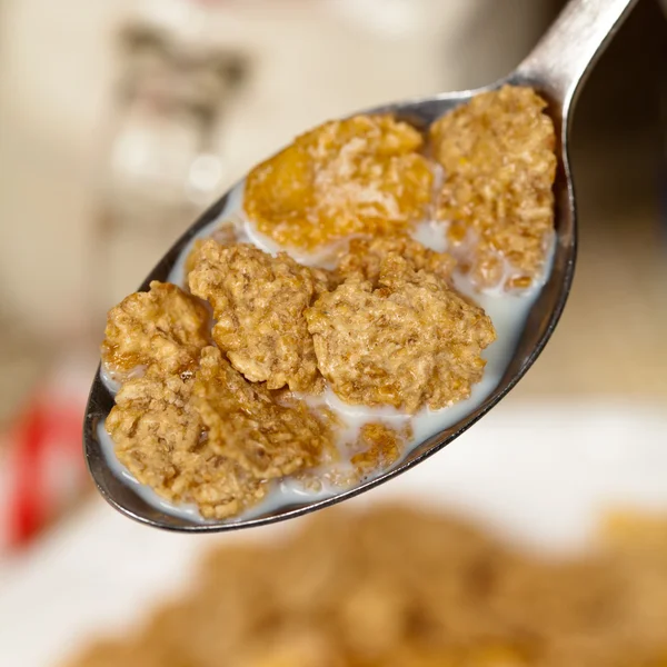 Cereales —  Fotos de Stock