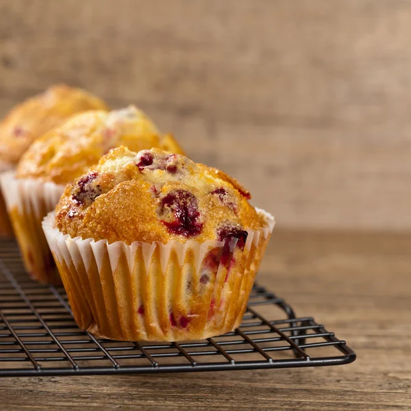 Muffins med tranbär — Stockfoto