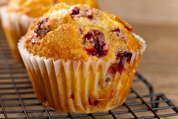 Muffins com cranberry — Fotografia de Stock