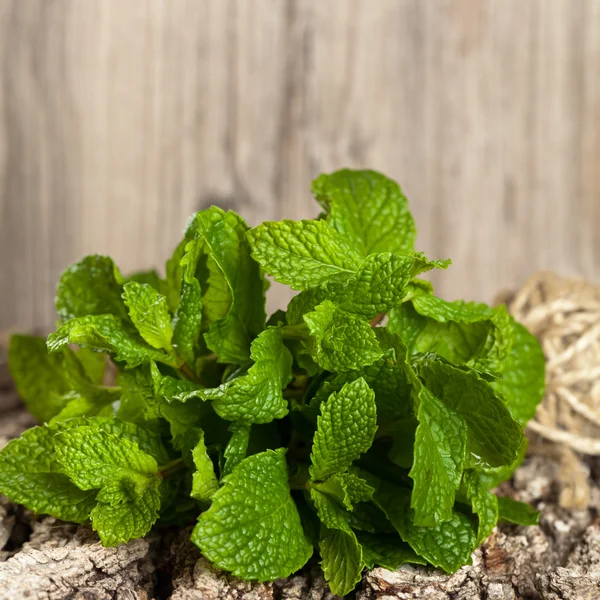 Mint — Stok Foto