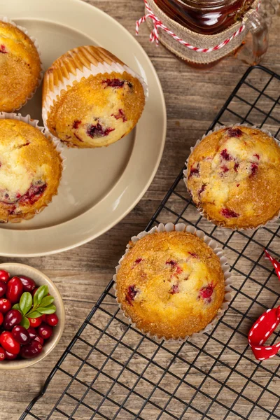 Muffins de arando — Fotografia de Stock