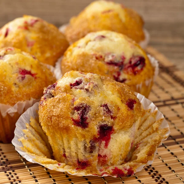 Cranberry muffins — Stock Photo, Image