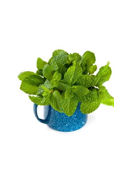 Mint — Stok Foto