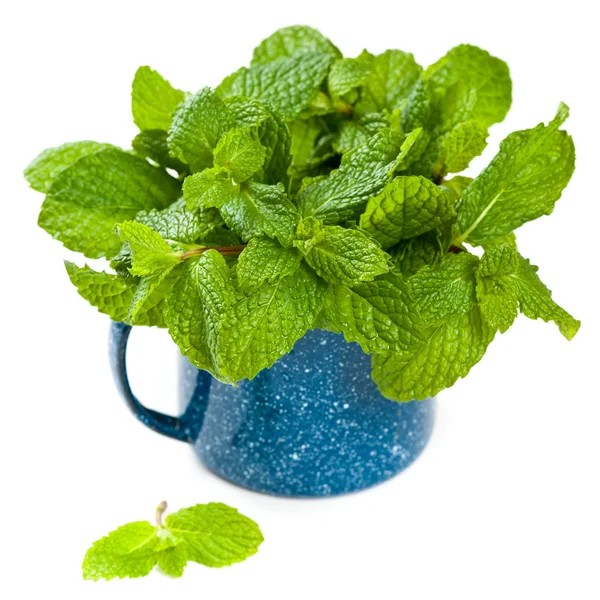 Mint — Stok Foto