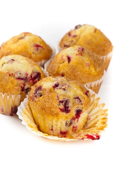 Muffins med tranbär — Stockfoto