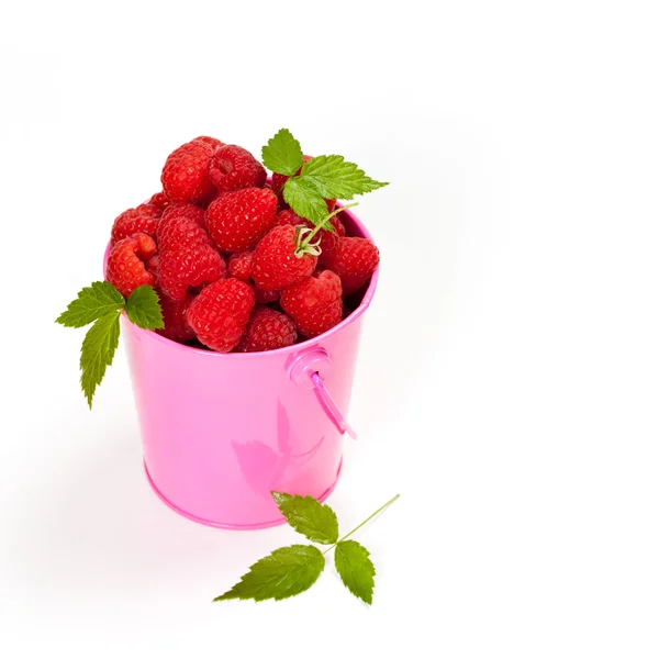 Himbeeren — Stockfoto