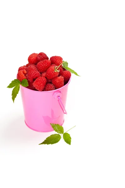 Himbeeren — Stockfoto