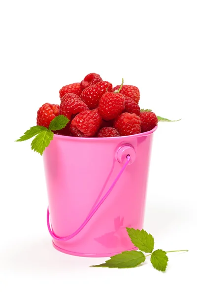 Himbeeren — Stockfoto