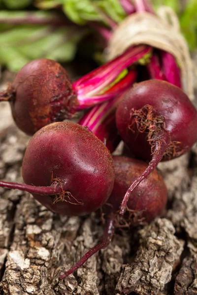 Sfecla roșie organică brută — Fotografie, imagine de stoc