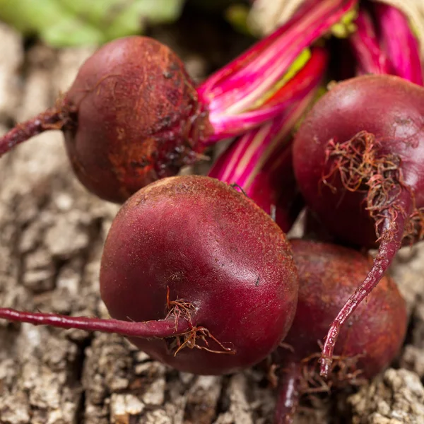 Sfecla roșie organică brută — Fotografie, imagine de stoc