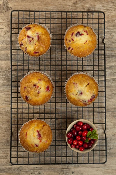 Muffins mit Preiselbeeren — Stockfoto