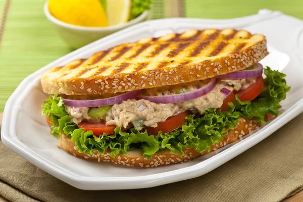 Ton Panini Sandwich — Fotografie, imagine de stoc