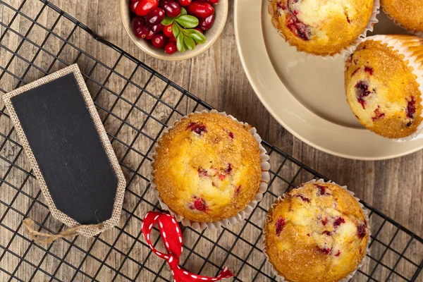 Cranberry muffins — Stock Photo, Image