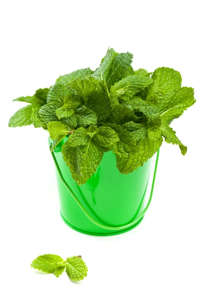 Mint — Stok Foto