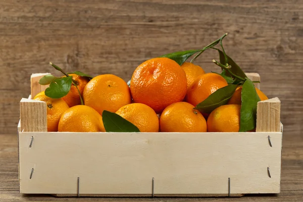Tangeriner eller Mandarin — Stockfoto
