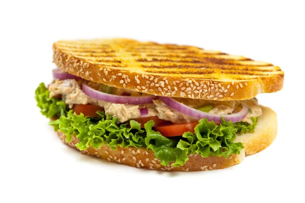 Ton balıklı Panini sandviç — Stok fotoğraf