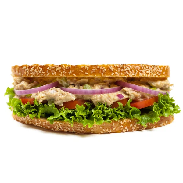 Ton balıklı Panini sandviç — Stok fotoğraf