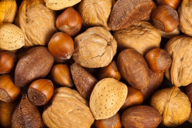 fındık karışımı