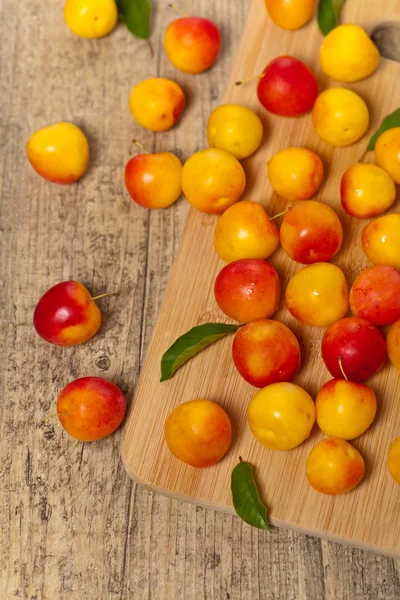 Cherry plum — стоковое фото