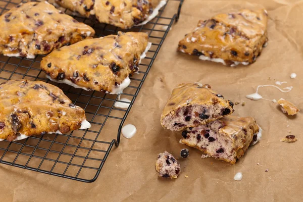 Blueberry Scones — Stock Photo, Image