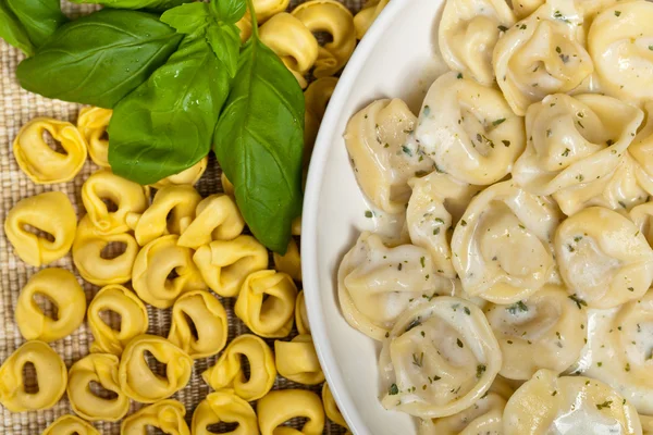 Tortellinis Alfredo — Photo