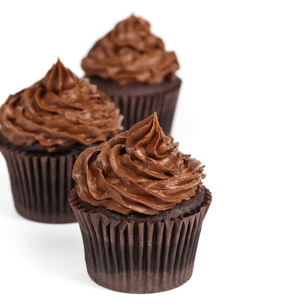 Choklad cupcakes — Stockfoto