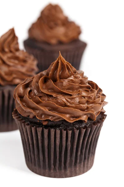 Cupcakes de chocolate — Fotografia de Stock