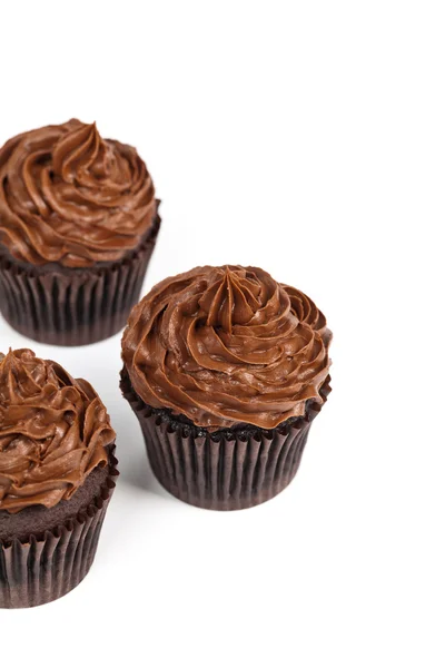 Cupcakes de chocolate — Fotografia de Stock