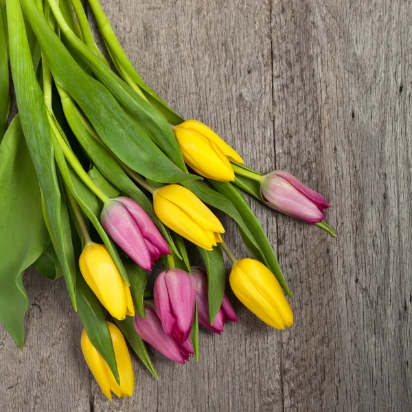 Bouquet af tulipaner - Stock-foto