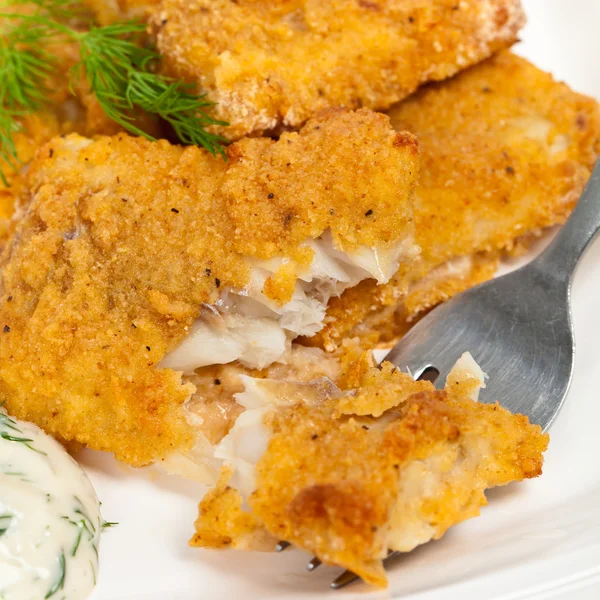Fish — Stock Image Fish Stock Image
