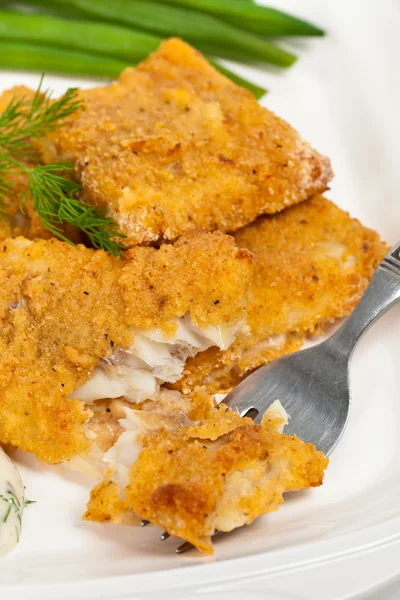 Fish — Stock Image Fish Stock Picture