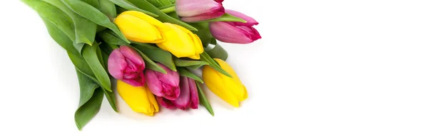 Tulipaner - Stock-foto