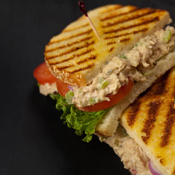 Grilled Tuna Panini Sandwich — Stock Photo, Image