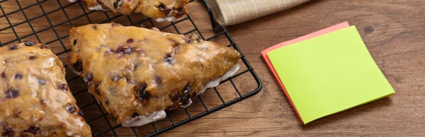 Blueberry Scones — Stock Photo, Image