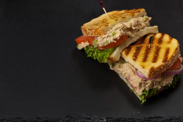 Gegrilltes Thunfisch-Panini-Sandwich — Stockfoto