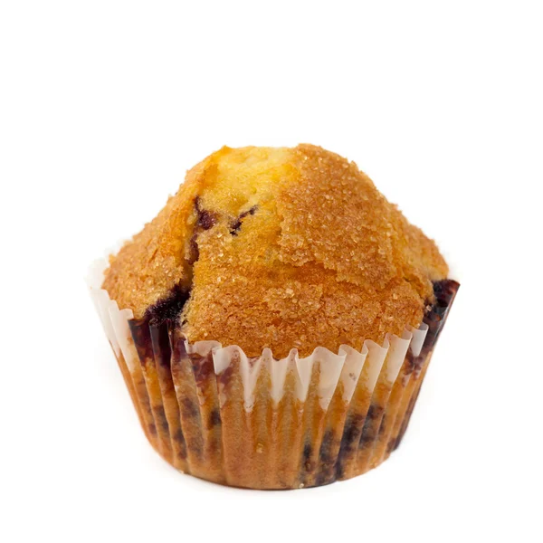 Muffins de mirtilo — Fotografia de Stock