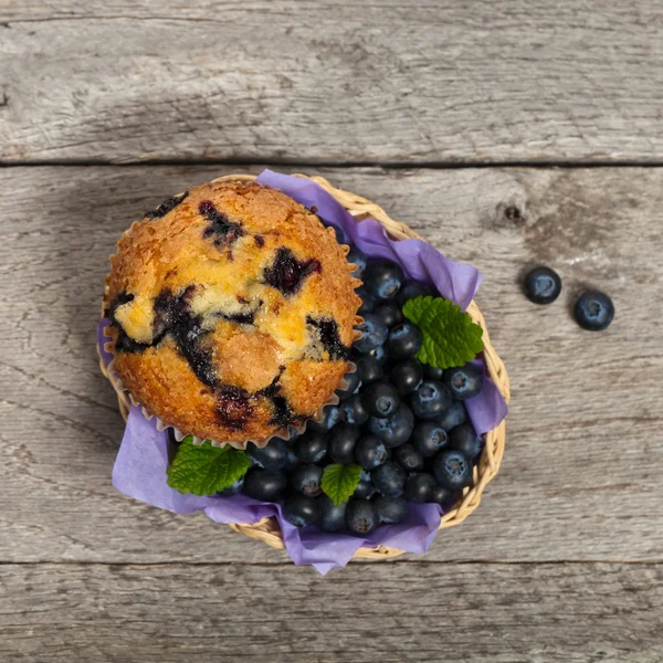 Blåbärsmuffins — Stockfoto