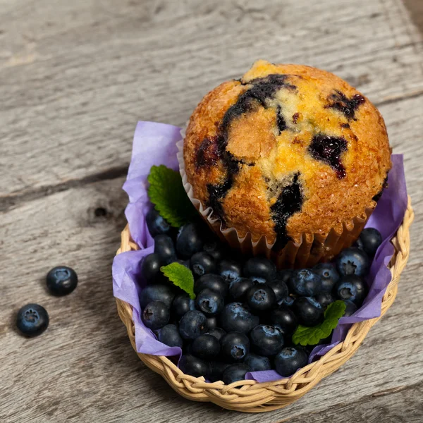 Blåbärsmuffins — Stockfoto