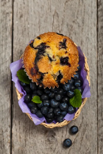 Muffin ai mirtilli — Foto Stock