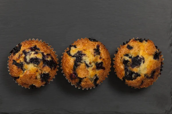 Blåbärsmuffins — Stockfoto