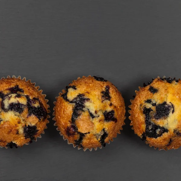 Muffins aux myrtilles — Photo