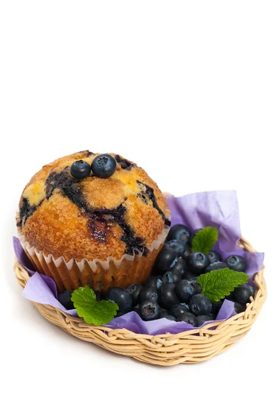 Muffins aux myrtilles — Photo