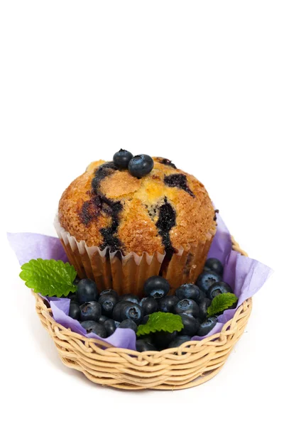 Muffins de arándanos —  Fotos de Stock