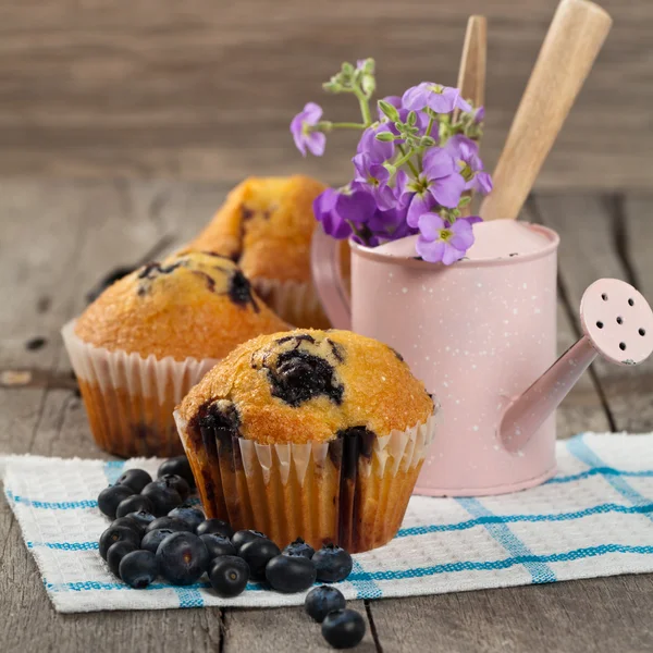 Blaubeermuffins — Stockfoto