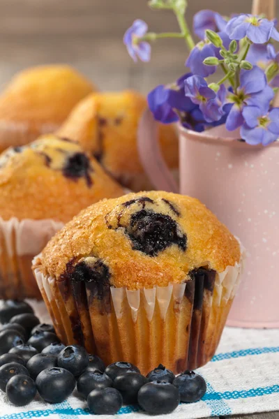 Muffins de mirtilo — Fotografia de Stock