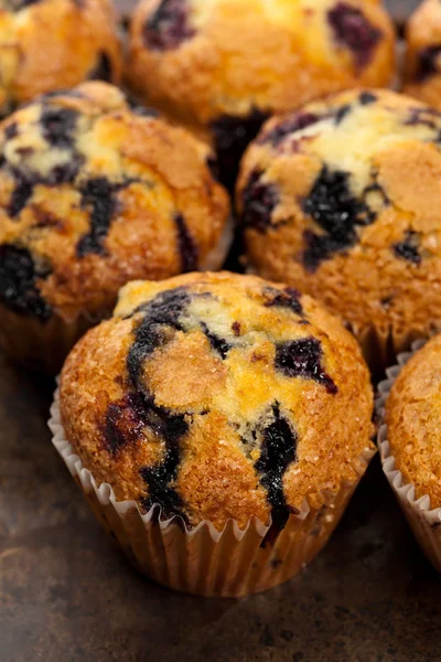 Muffins de mirtilo — Fotografia de Stock