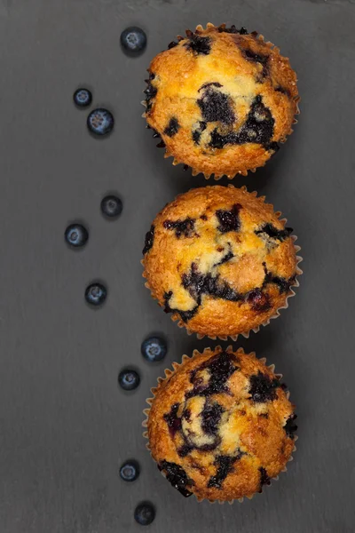 Blåbärsmuffins — Stockfoto