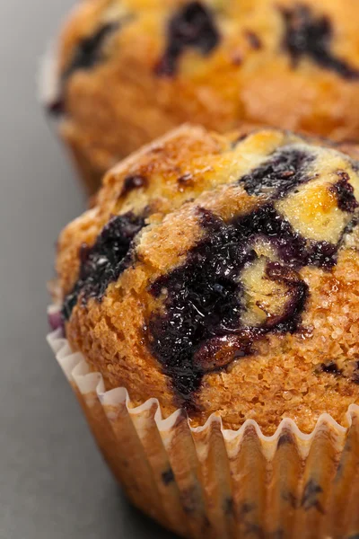 Bosbessenmuffins — Stockfoto