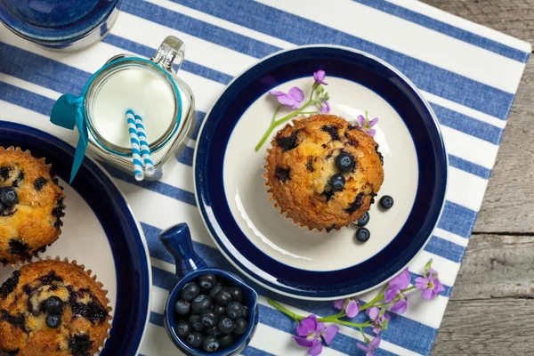 Köstliche hausgemachte Heidelbeermuffins — Stockfoto