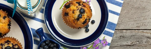 美味的自制蓝莓松饼 — 图库照片